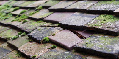 Spital roof repair costs